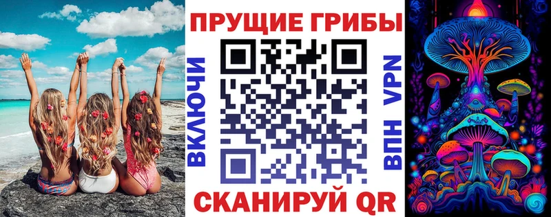 Псилоцибиновые грибы GOLDEN TEACHER  Купить где  Усть-Катав 